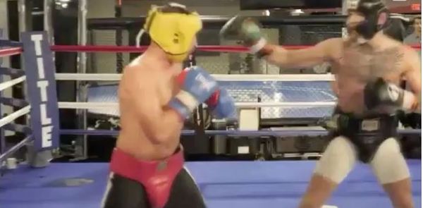 Dana White Posts Video Of Paulie Malignaggi Hitting Canvas Vs. Conor McGregor