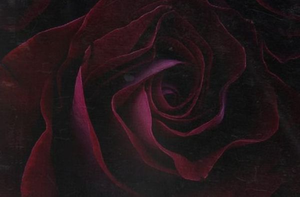 Chris Brown Says It's "Him Or Me" On New Single