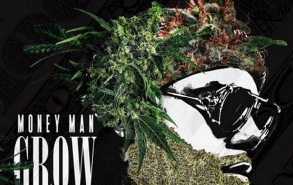 Money Man Is Dubbed "Grow God" On Latest Mixtape