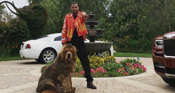 French Montana Just Got A Giant Fluffy Dog