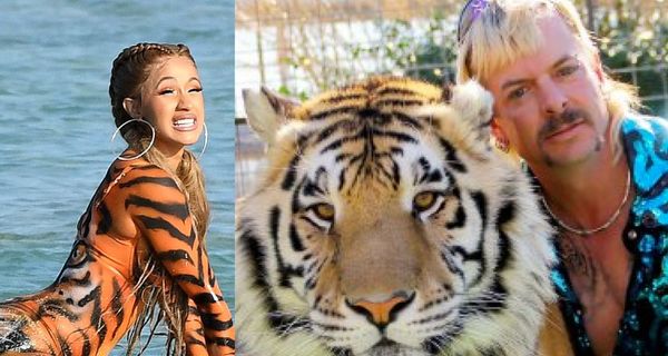 Cardi B Attempts To Raise Money For Imprisoned "Tiger King" Star Joe Exotic